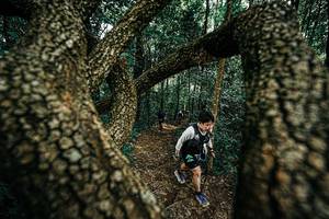 BIB: 
                            <button type="button" onclick="openModal(25393975)" class="btn btn-primary btn-sm float-right btn-popup" data-toggle="modal" data-target=".modal-high-quality">
                        <i class="fas fa-shopping-cart"></i> Add to Cart
                    </button>
                                            <button type="button" onclick="isThisMe(25393975, true)" class="btn btn-success btn-sm float-right btn-popup btn-isme hidden" data-toggle="tooltip" data-placement="bottom" title="นี่คือรูปของคุณใช่ไหม คลิกที่นี่เพื่อเอาเข้าอัลบั้ม">
                        <i class="fas fa-plus"></i> Add to album
                    </button>
                    <button type="button" onclick="isThisMe(25393975, false)" class="btn btn-warning btn-sm float-right btn-popup btn-isnotme hidden">
                        <i class="fas fa-ban"></i> Remove from album
                    </button>